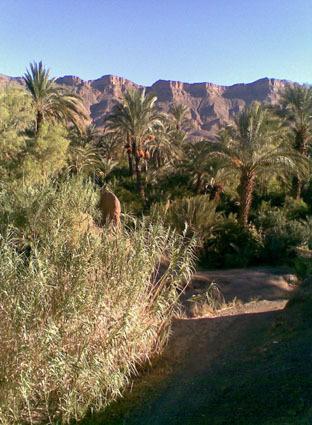 Готель Kasbah Berbere Ouriz Агдез Екстер'єр фото